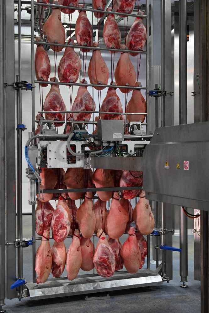 Plant for the seasoning of hams