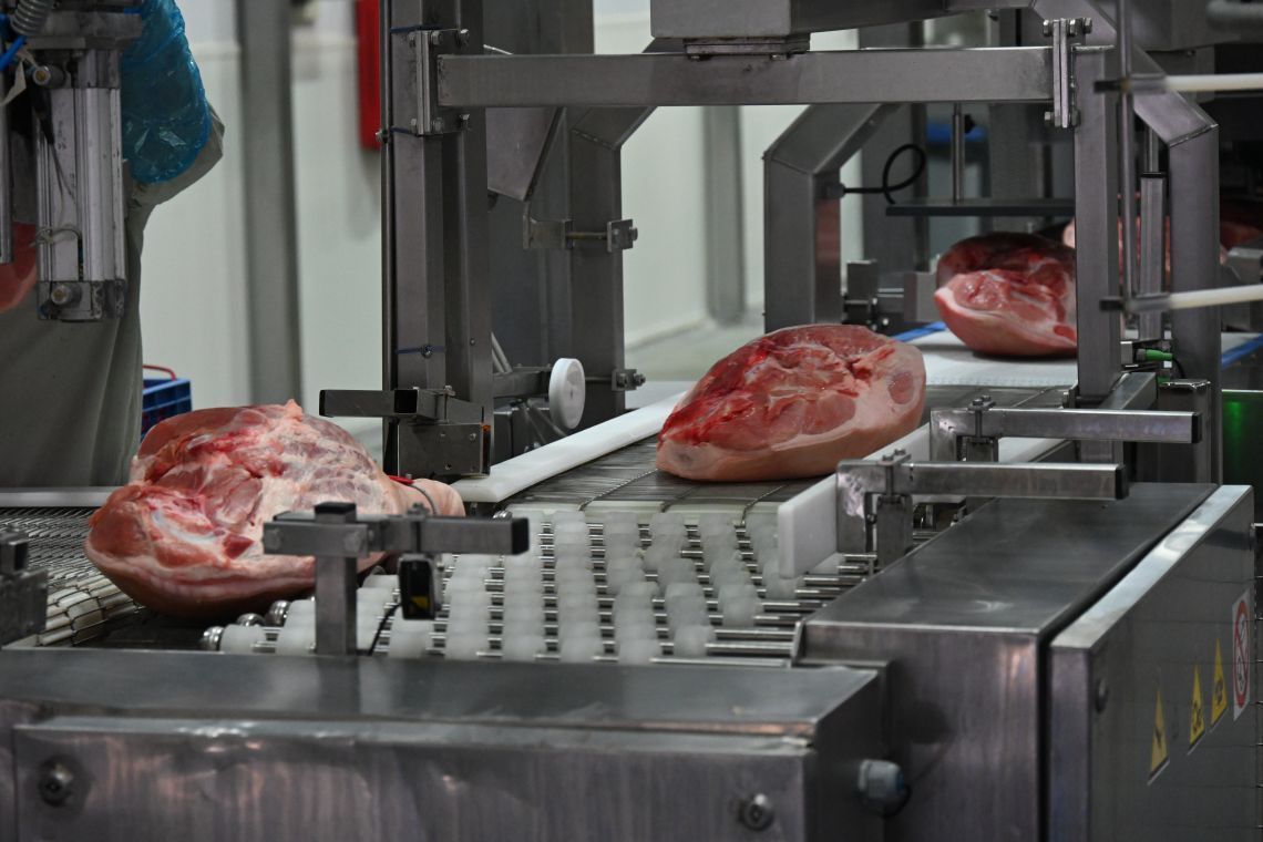 Plant for the seasoning of hams