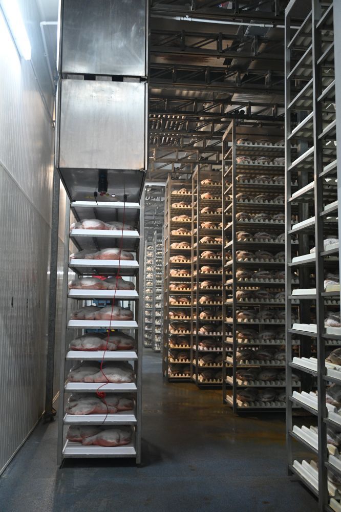 Plant for the seasoning of hams