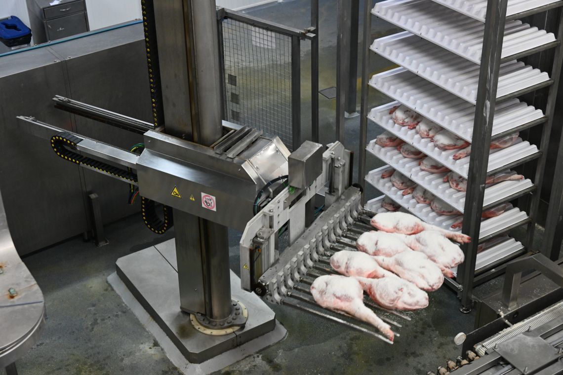 Plant for the seasoning of hams