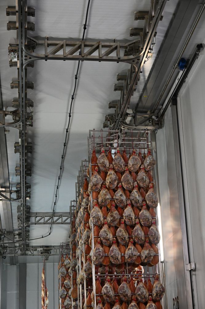 Plant for the seasoning of hams