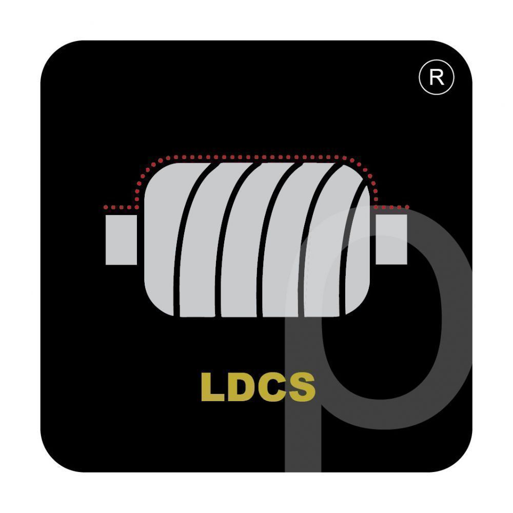 LDCS SMART WKS